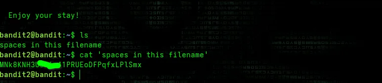 Level 2 Screenshot
