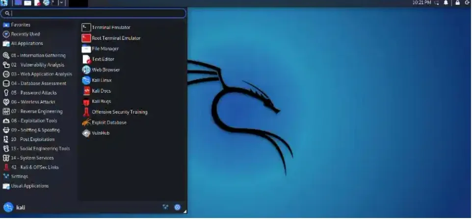Kali Linux GUI